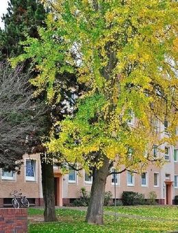 3 Zimmer mit Balkon - Minden (Nordrhein-Westfalen)