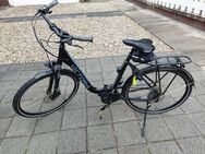 E-Bike Victoria eTrekking 6.3 - Riedstadt