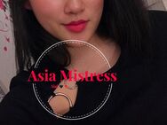 Paypig, Geld/Zahlloser, Cash&Go 💶💶 weltweit gesucht bei Asia Mistress!! - Frankfurt (Main) Kalbach-Riedberg