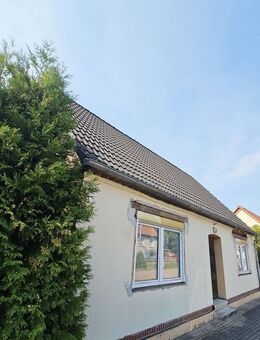 Offen für Ideen; Ein Handwerkerobjekt, das Räume zum Leben schafft - Oranienbaum-Wörlitz