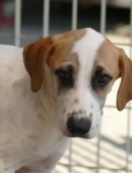 Saturno freut sich auf sein neues Leben - Neuss