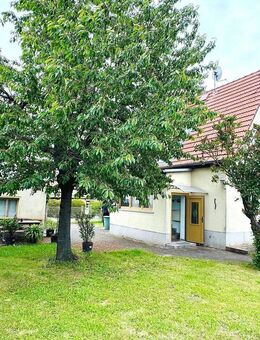 Weißenfels, Kleines Einfamilienhaus auf tollem Grundstück in ruhiger Wohnlage - Weißenfels