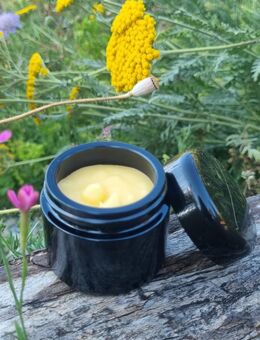 Bio Premium Tagescreme, Naturkosmetik, Pflegewunder 50ml - Horgenzell