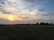 Blick vom Grundstück ins Feld, Nordwalde - Nordwalde