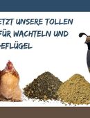 WachtelGlück® Produkte für dein Geflügel in 35325