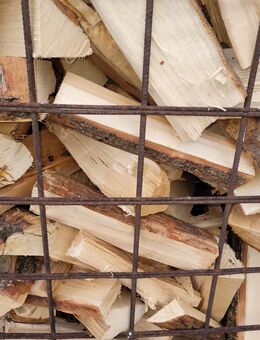 Brennholz Birke Buche gemischt - Roding