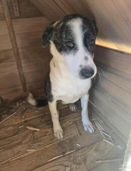 Marie - sanft und sensibel - Dreikirchen