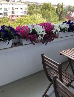 Mit Weitblick: Sonnige 1 Zimmer Wohnung mit Balkon in Groß-Borstel, Nh. Eppendorfer Moor - Hamburg