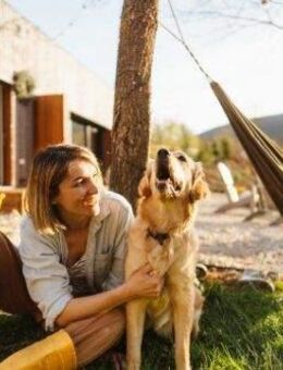 Traumhausplanung im Herbst bei Bien Zenker - Dresden