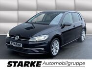 VW Golf, 2.0 TDI VII Highline, Jahr 2019 - Vechta