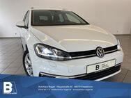 VW Golf Variant, 1.5 Highline, Jahr 2020 - Kressbronn (Bodensee)