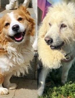 JOHNNY UND MAX - Sehnde