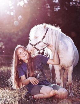 Rothensande Hemingway - Cremello Mini Shetland- 100% kostbare reine alt-engl. Birlinglinien - Felsberg