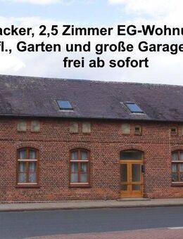 Hitzacker: 2,5 Zim. EG-Whg. mit Garten u. großem Garagenschuppen - Hitzacker (Elbe)