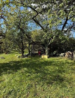Charmantes Einfamilienhaus mit gepflegtem Obstgarten in 66346 Köllerbach - Püttlingen