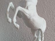 Kaiser Porzellan „Das Pferd“ (597) - Erkrath (Fundort des Neanderthalers)