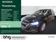 Skoda Octavia, 2.0 TDI Combi Style, Jahr 2021 - Freiburg (Breisgau)