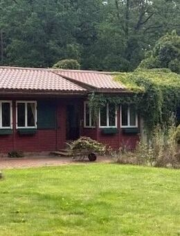 Idyllische Lage am Waldrand - Mesekenhagen