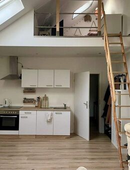 möbliertes Apartment im Zooviertel zu vermieten. - Düsseldorf