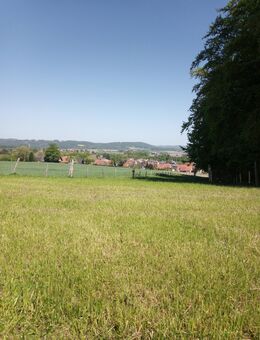 Er sucht sie - Melle