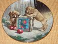 Porzellan Hundeteller z.T. mit Zertifikat, OVP in 45894