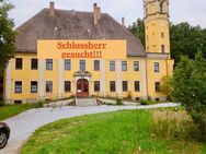 PREISANGEBOTE ERBETEN - SCHLOSS - perfekt für Hotel Schönheitsklinik Mehrgenerationen-Wohnen - Hähnichen