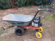 Mini Dumper Schubkarre mieten - Eschweiler