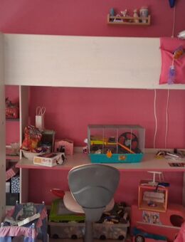 Hochbett für Kinder mit integrierten Regal und Schreibtisch - Kassel