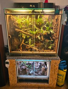 Terrarien inkl. Zubehör - Halle (Saale)