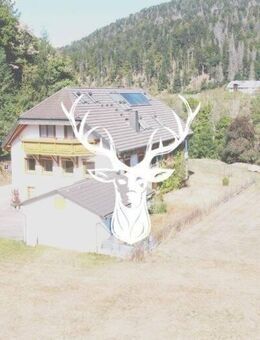 Zweifamilienhaus mit großem Entwicklungspotenzial in idyllischer Naturlage von Schlageten. - Sankt Blasien