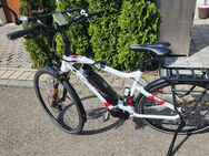 Haibike Sduro 6.0 Trecking e-Bike --> incl. 2. AKKU im Wert von 450 € - Grafenau (Baden-Württemberg)