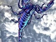Skorpion sucht Krebs oder andere Sternzeichen - Köln