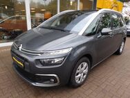 Citroen Grand C4 Picasso /Spacetourer/Automatik/AHK/7-Sit - Lauenburg (Elbe)