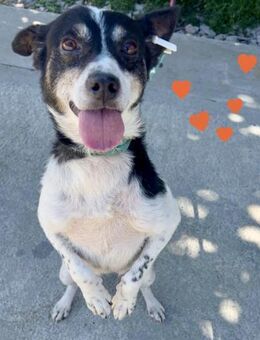 Problemlose unkomplizierte kleine INNA♥️ - München