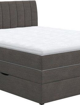 COTTA Boxspringbett Shark inkl. Bettkasten und Topper, erhältlich in den Breiten 140x200cm, 160x200cm und 180x200cm