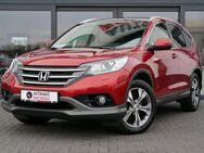 Honda CR-V Executive 4WD PANO! LEDER! 1 HAND! - Geisenheim