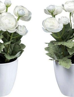 Kunstblume Ranunkel Mohn, Creativ green, Höhe 20 cm