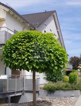 Zentrumsnahe neuwertige 3-Zimmer-Maisonette-Wohnung (EG + OG) mit 2 Balkonen und TG-Stellplatz - Bad Rappenau