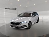 Skoda Octavia, 2.0 TDI Combi First Edition 17, Jahr 2021 - Wolfhagen