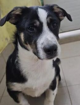 Elliot sucht seine Familie - Kallmünz