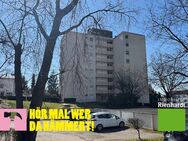 Hör mal wer da hämmert! 3-Zimmer-Wohnung in Ludwigsburg - Ludwigsburg