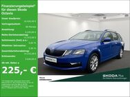 Skoda Octavia, Combi TOUR EPH, Jahr 2020 - Neuss