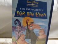 VHS Videokassette WALT DISNEY'S MEISTERWERK EIN KÖNIGREICH FÜR EIN LAMA Rarität - Zeuthen