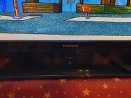 Samsung pc50c430a1wxxc TV - Weißenfels