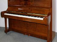 Klavier Steinway & Sons V-125, Nussbaum poliert, Nr. 298228, 5 Jahre Garantie - Egestorf