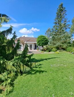 Bungalow in idyllischer Lage - Dümmer