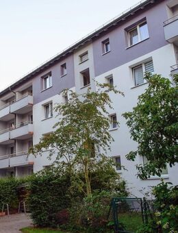 Ideal für Einsteiger - Amberg