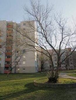 Großzügige, sanierte 3-Zimmer-Wohnung mit Balkon - ideal für junge Familien - Bonn