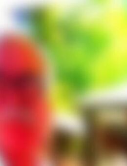 Han*** - Bergheim (Nordrhein-Westfalen)