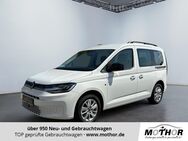 VW Caddy, 1.5 TSI Life, Jahr 2022 - Brandenburg (Havel)